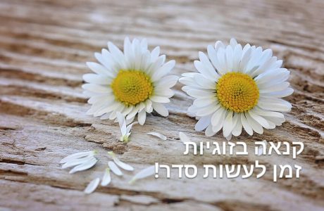 קנאה בזוגיות – עושים סדר!
