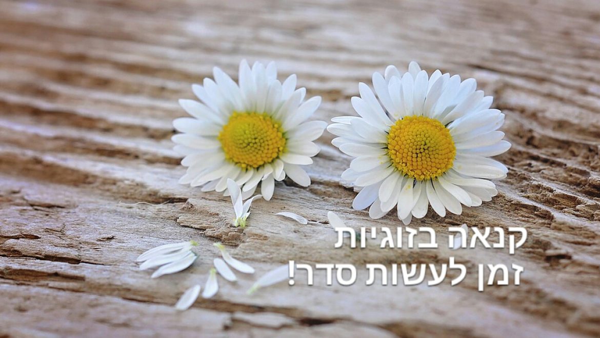 קנאה בזוגיות – עושים סדר!